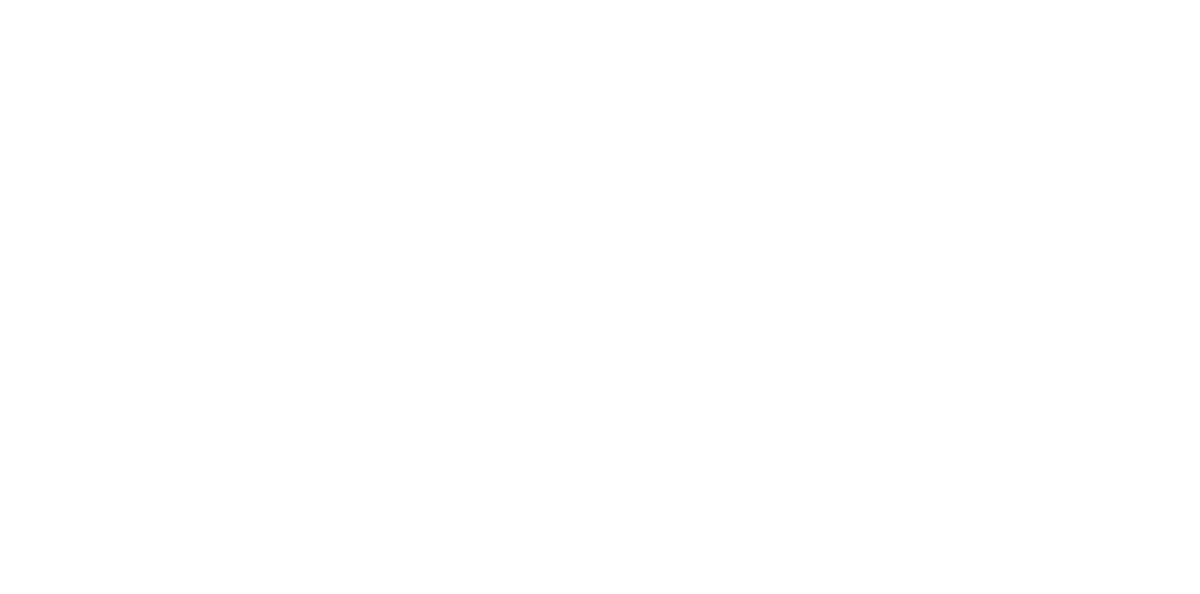 BOKI ASSISTANCE vučna služba logo